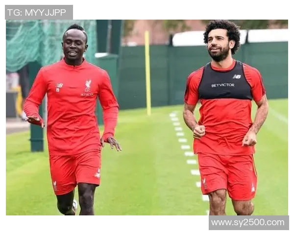 足球明星健身房训练费用揭秘 每次课程价格和训练内容详解